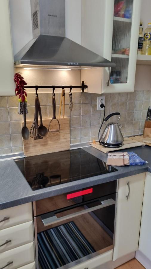 Apartment Pinewood *** Vyšné Ružbachy Dış mekan fotoğraf